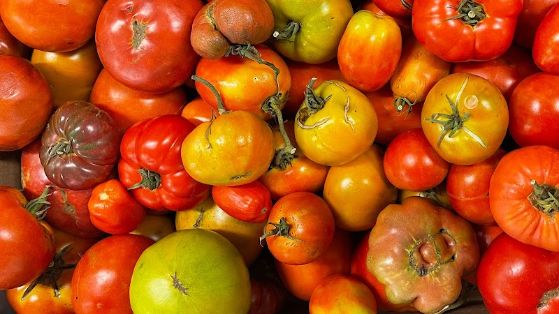 Urban Harvest Farmers Market cover image