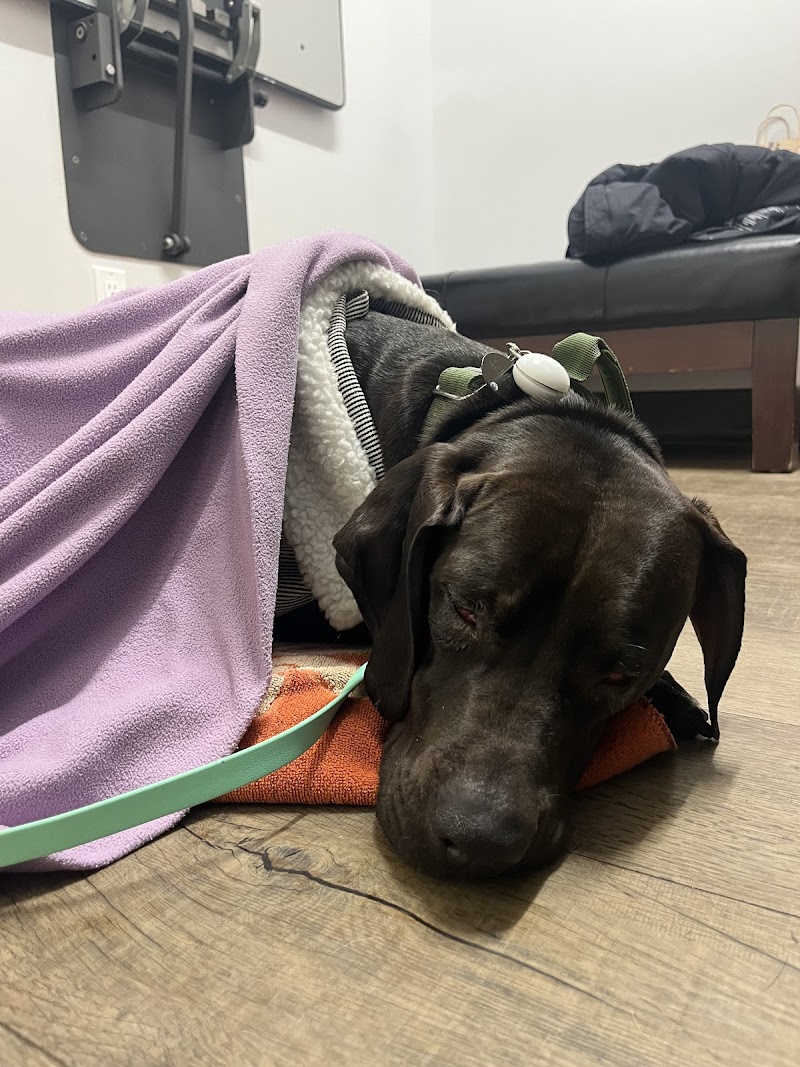 Crestwood Veterinary Centre cover image