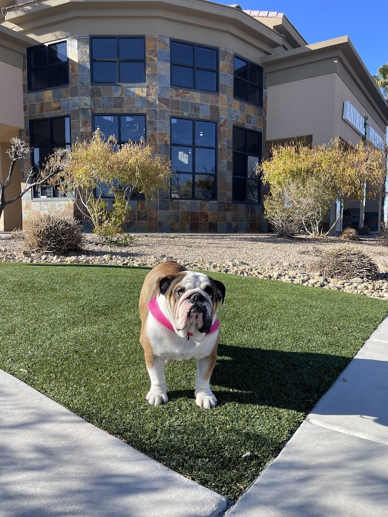 West Charleston Animal Hospital cover image