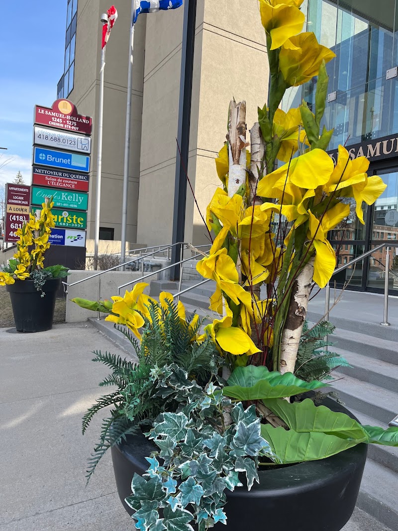Fleuriste Aux Fleurs du Temps Québec cover image