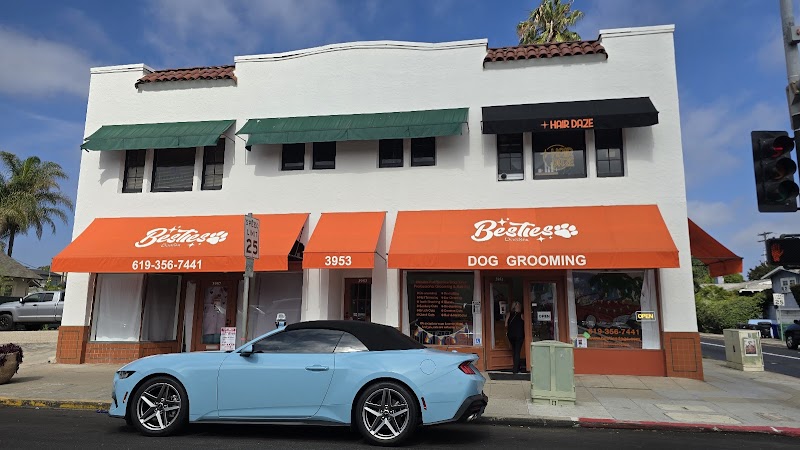 Besties DogSpa cover image