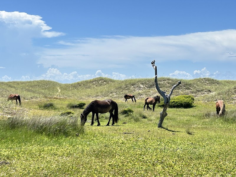 H2O Captain Eco-Tour Private Boat Excursions cover image