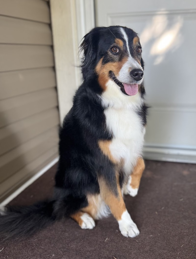 Bath & Tidy cover image