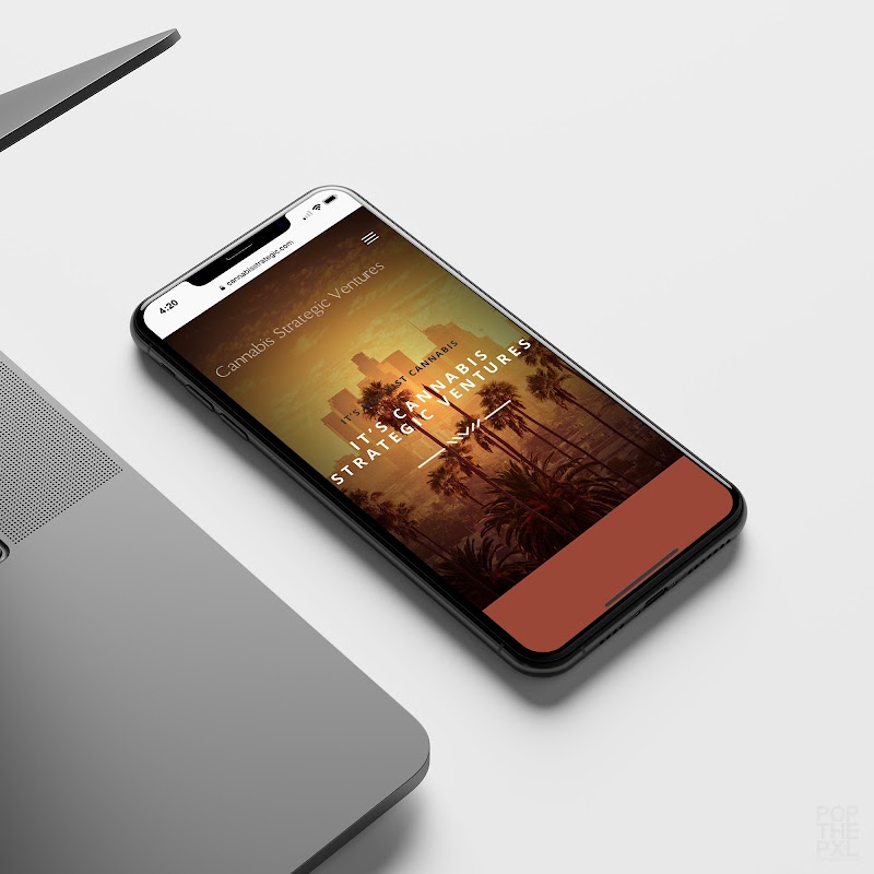 POP THE PIXEL cover image