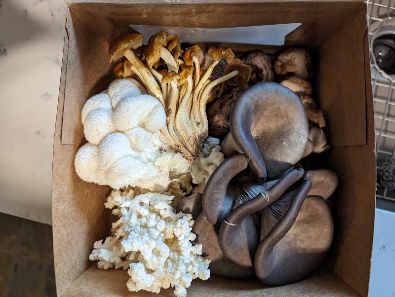 Cowtown Farmers Market cover image