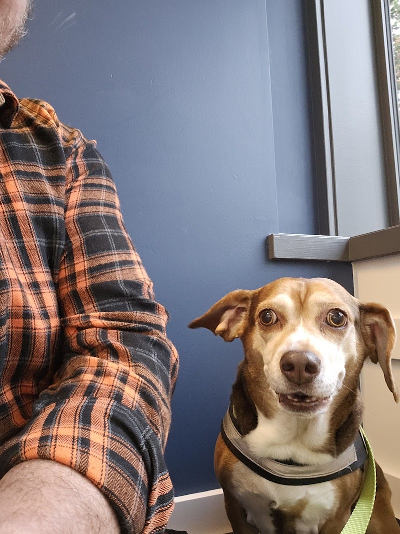 Northeast Veterinary Hospital cover