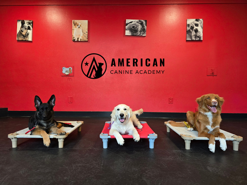 American Canine Academy Dog Training cover image