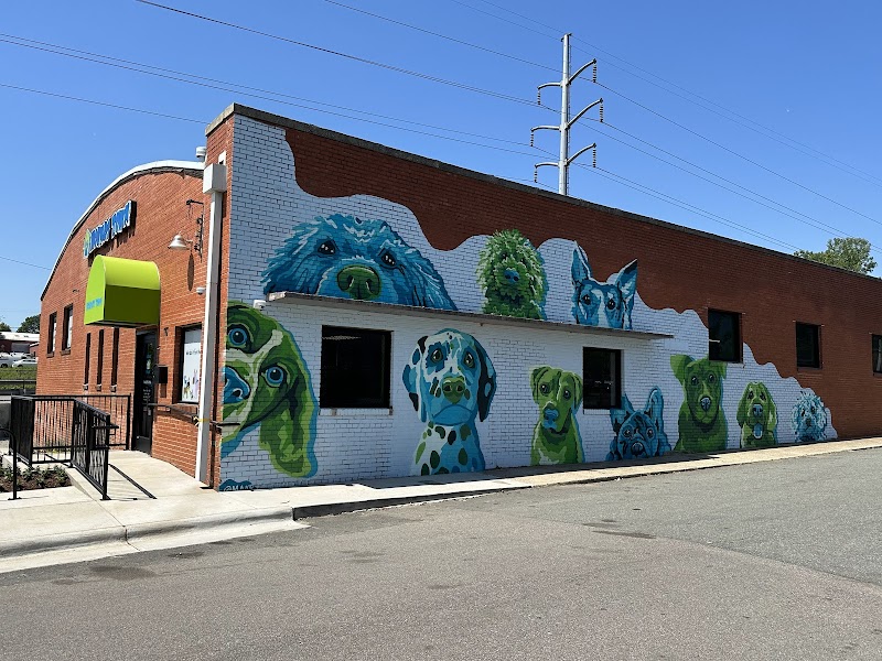 Hounds Town Charlotte - NoDa cover image