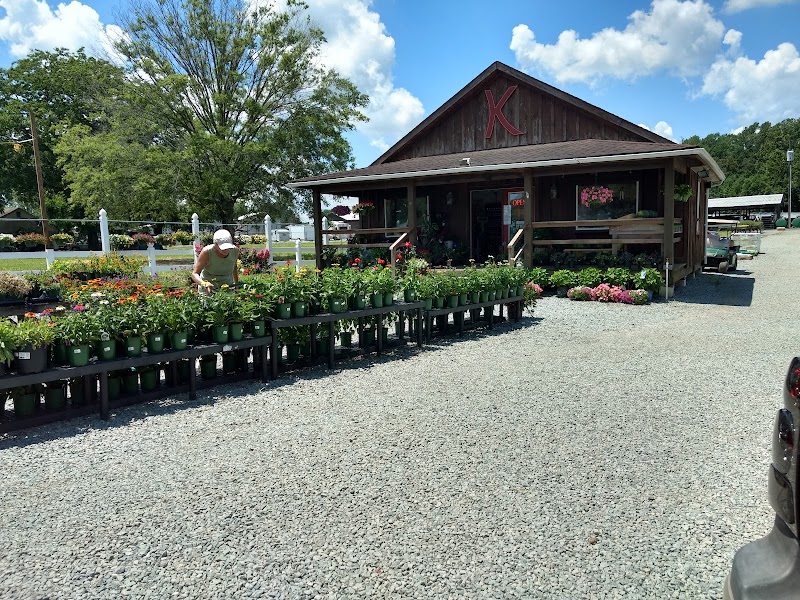 Kellys Nursery & Greenhouses cover image