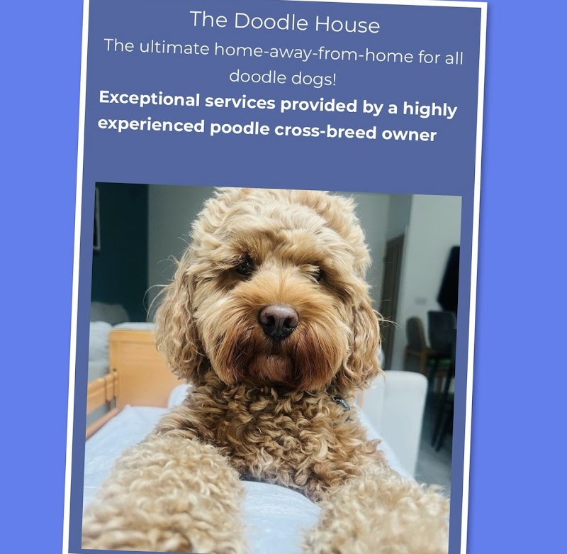 The doodle house cover image