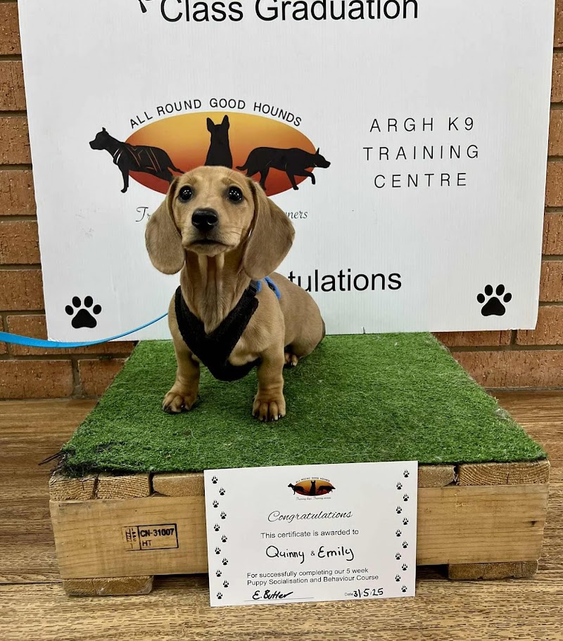 All Round Good Hounds Dog Training Canberra cover image