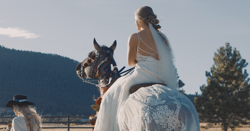 Mars Media, Video Production Company, Videography cover image