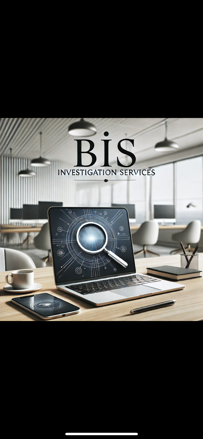 BIS Investigation Services LLC cover image