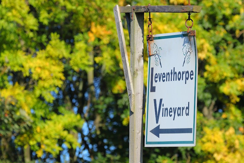 Leventhorpe Vineyard cover image
