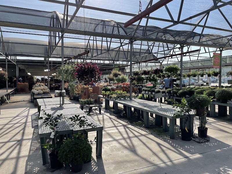 Calloway's Nursery cover image