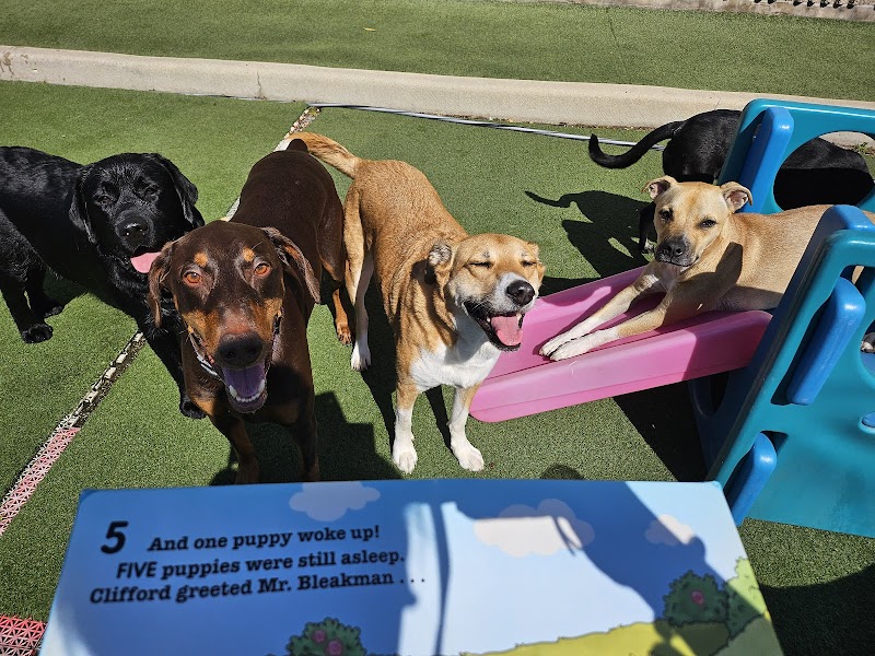 Best Friends Pet Hotel cover image