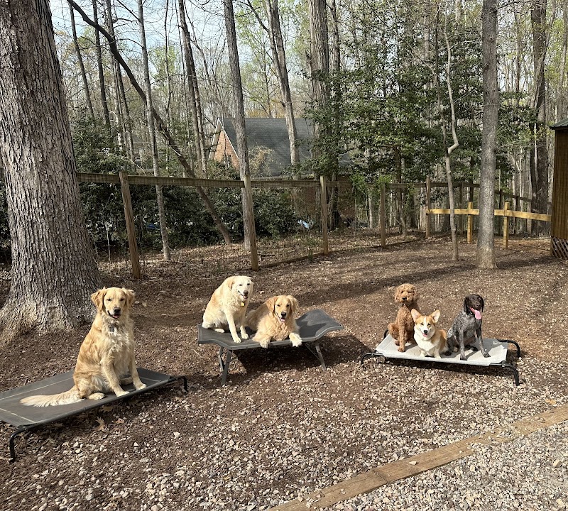 Off Leash K9 - Raleigh Durham cover image