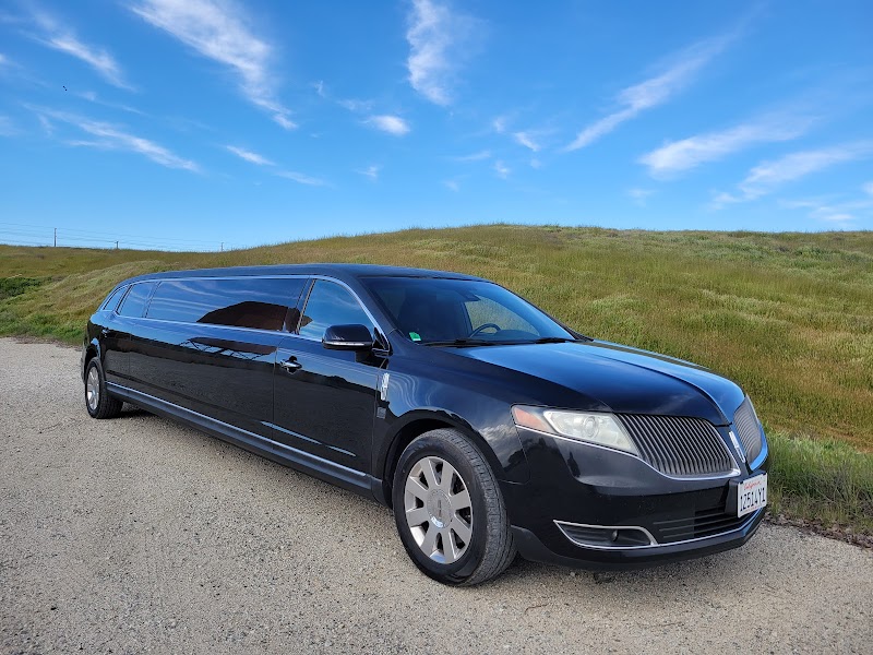 Fat Cat Limousine cover image