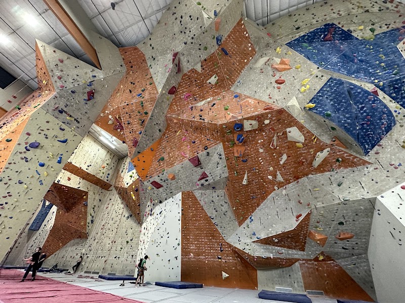 Central Rock Gym cover image