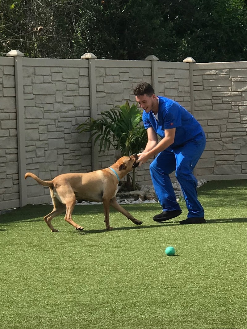 Guardian Veterinary Medical Center cover image