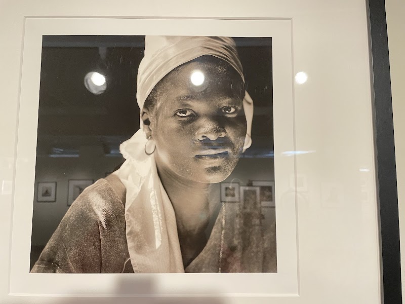 Schumacher Gallery cover image