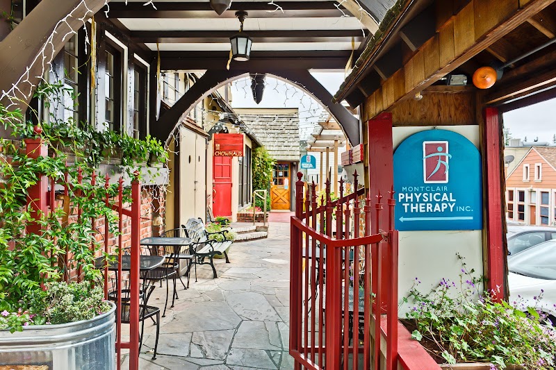 Active Method Physical Therapy cover image