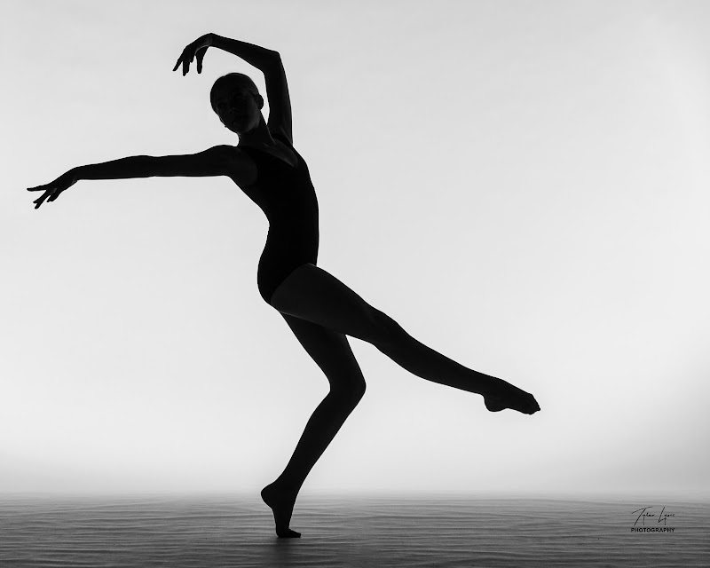 United Performing Arts Company cover image