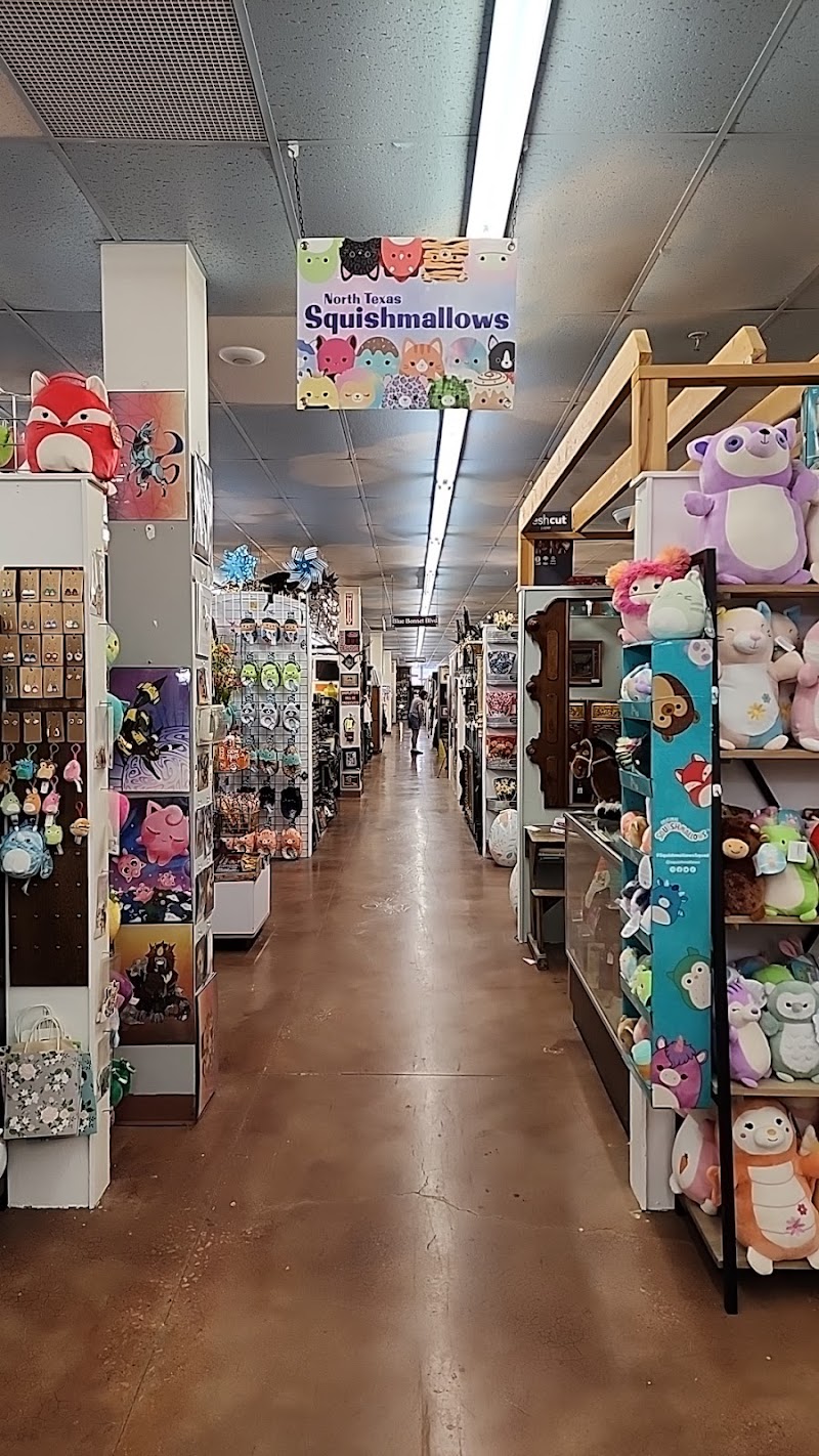 North Texas Squishmallows cover image