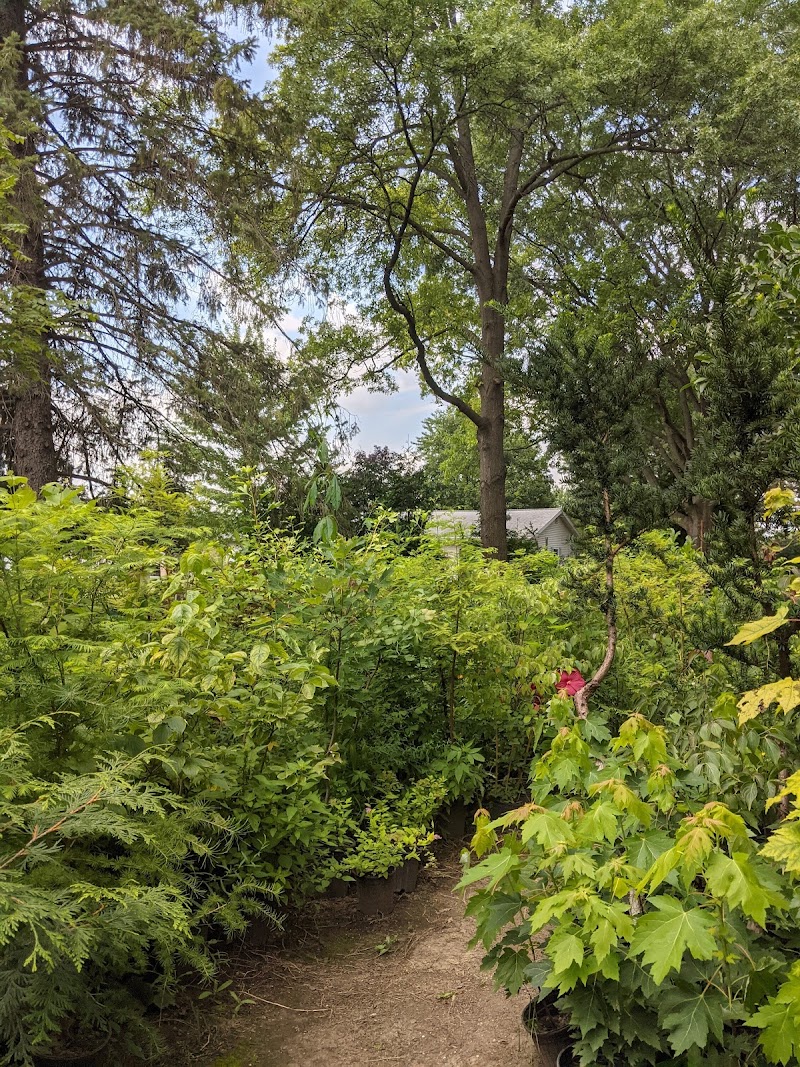 Tres Beaux Gardens cover image