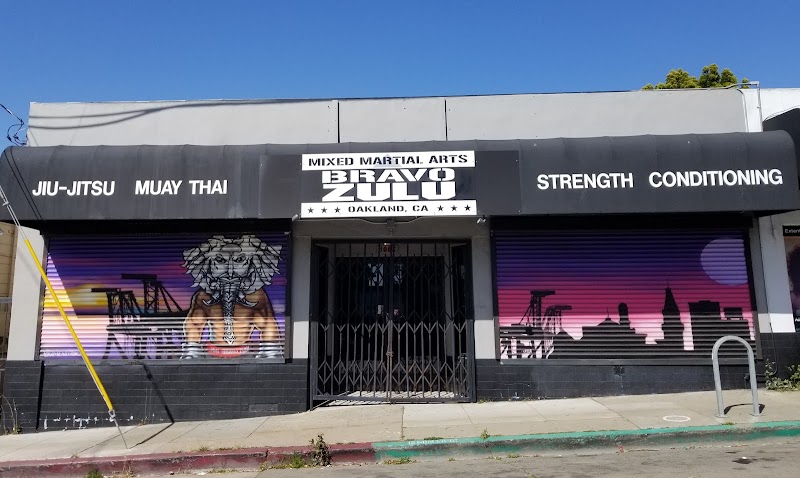 Mixed Martial Arts BRAVO ZULU cover image