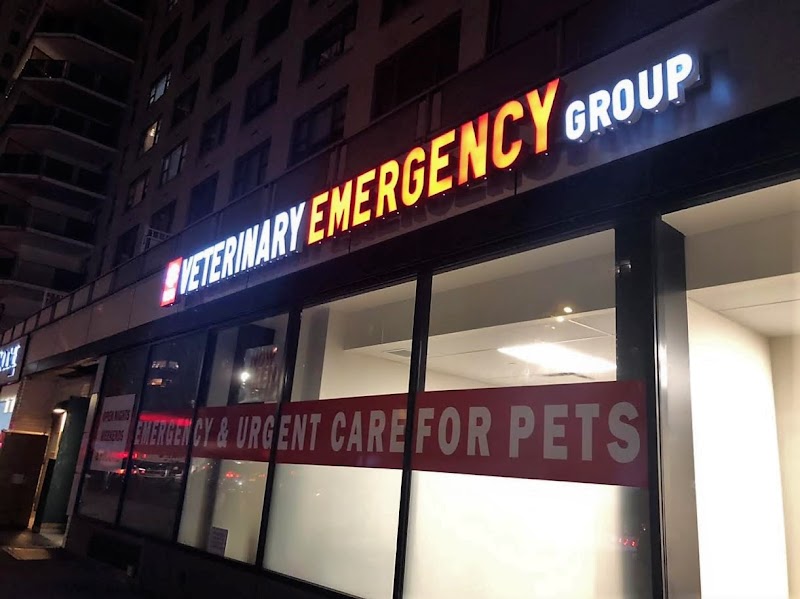 VEG ER for Pets cover image