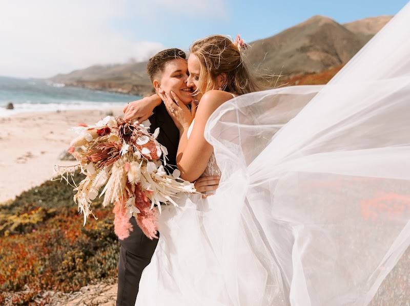 Andi B Photography cover image