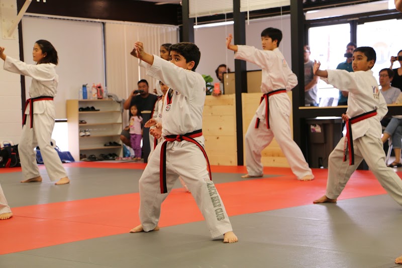 Y K Martial Arts Academy cover image