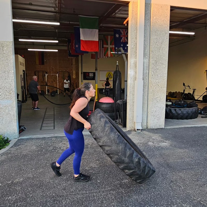 Fit Rapid Academy cover image