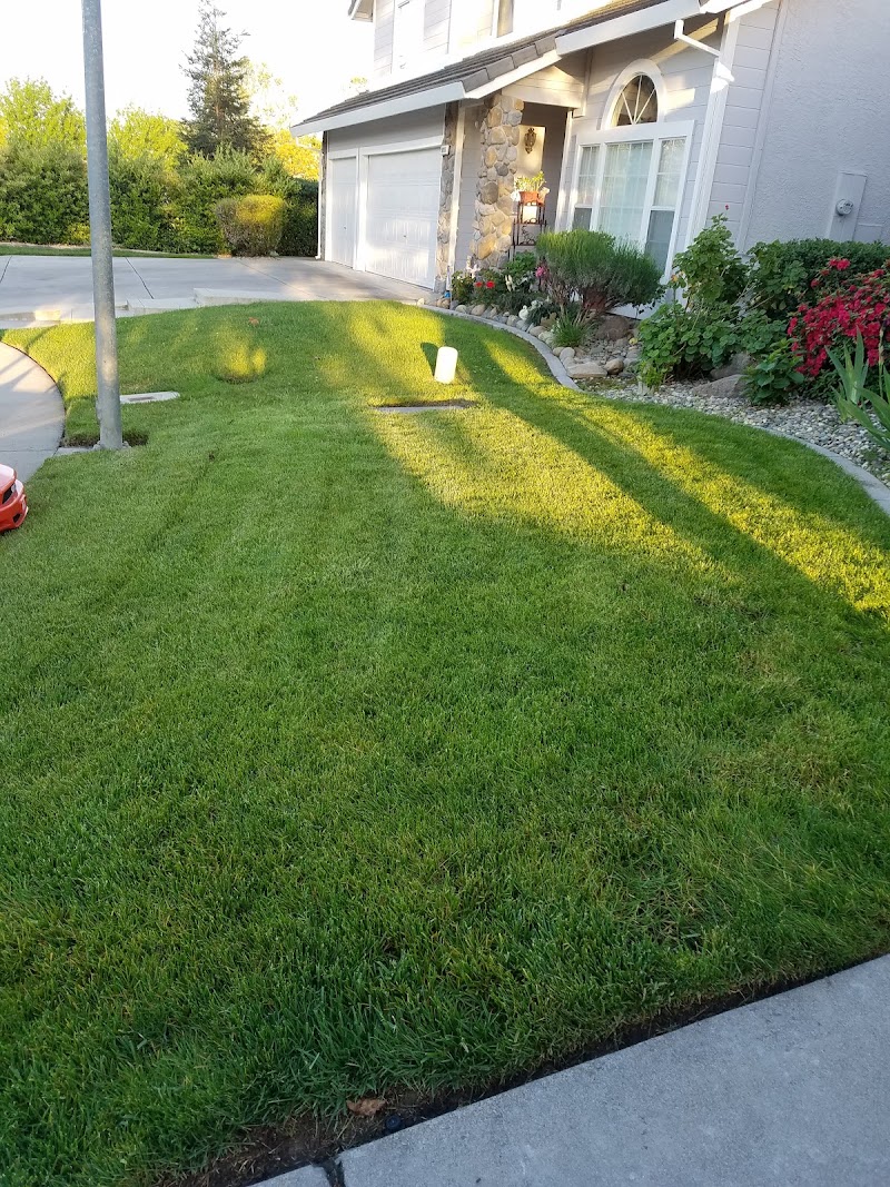 Best Lawn Care cover image