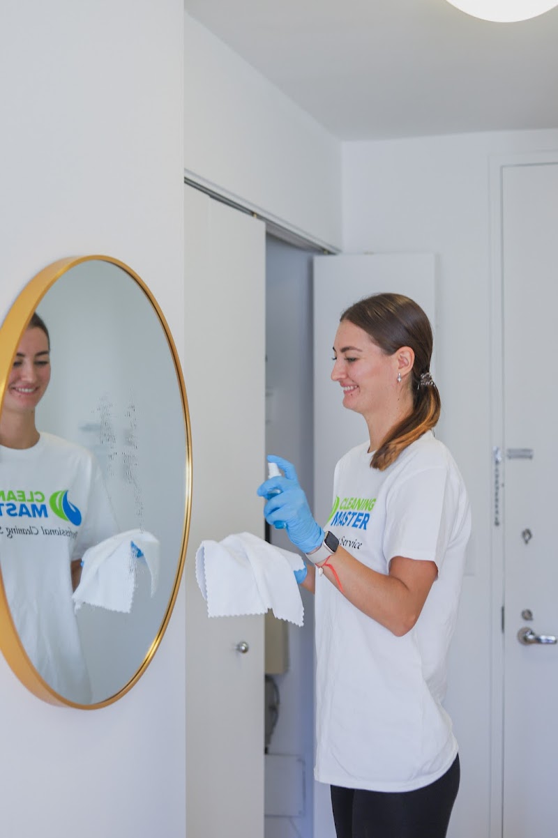 Cleaning Master cover image