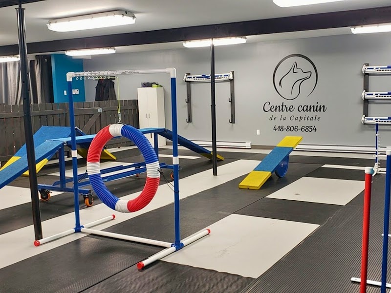 Centre canin de la Capitale — Éducation, Dressage & Activités Canines | Dresseur de chiens à Québec cover image