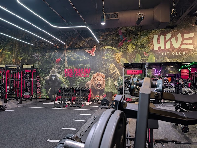 Hive Fit Club cover image