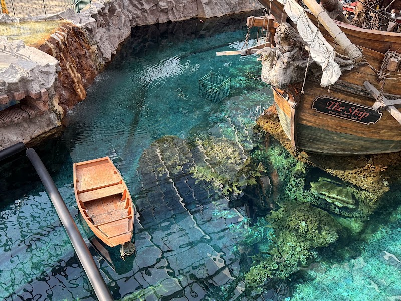 The Ship cover image