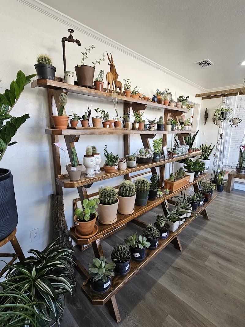 The Dutch House of Plants cover image