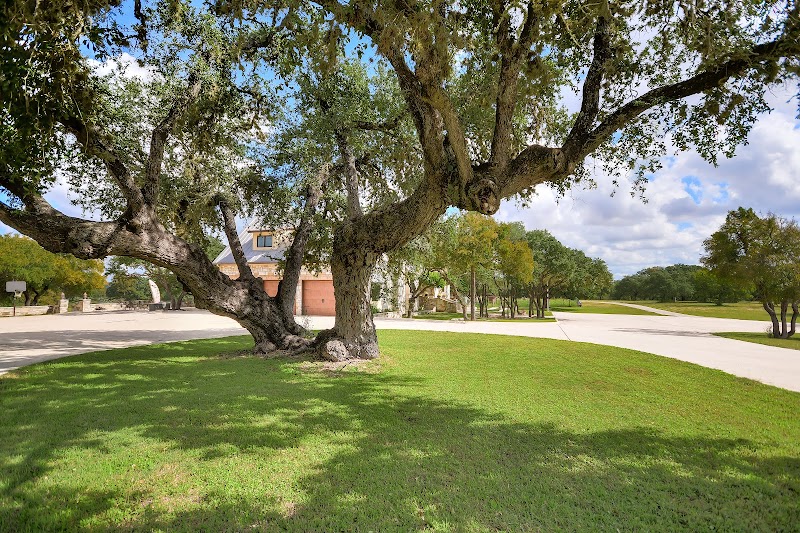 Zoetic Mindfulness Retreat cover image