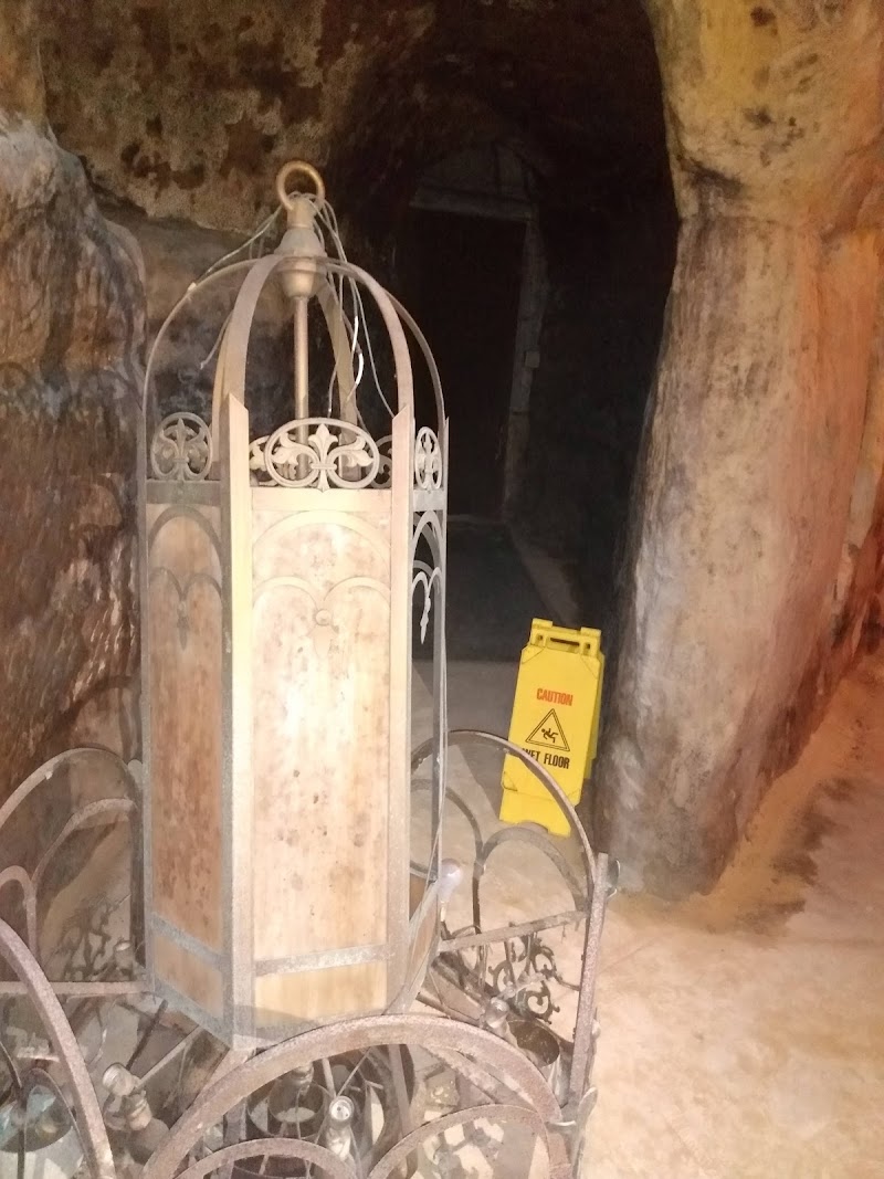 Down In History Tours cover image