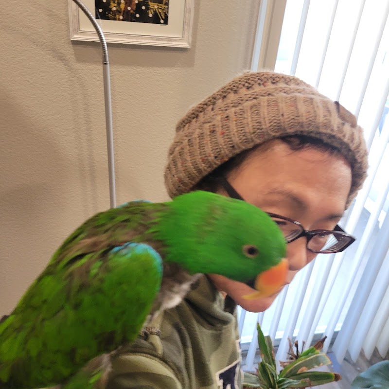 All Around Pet Care LLC cover image