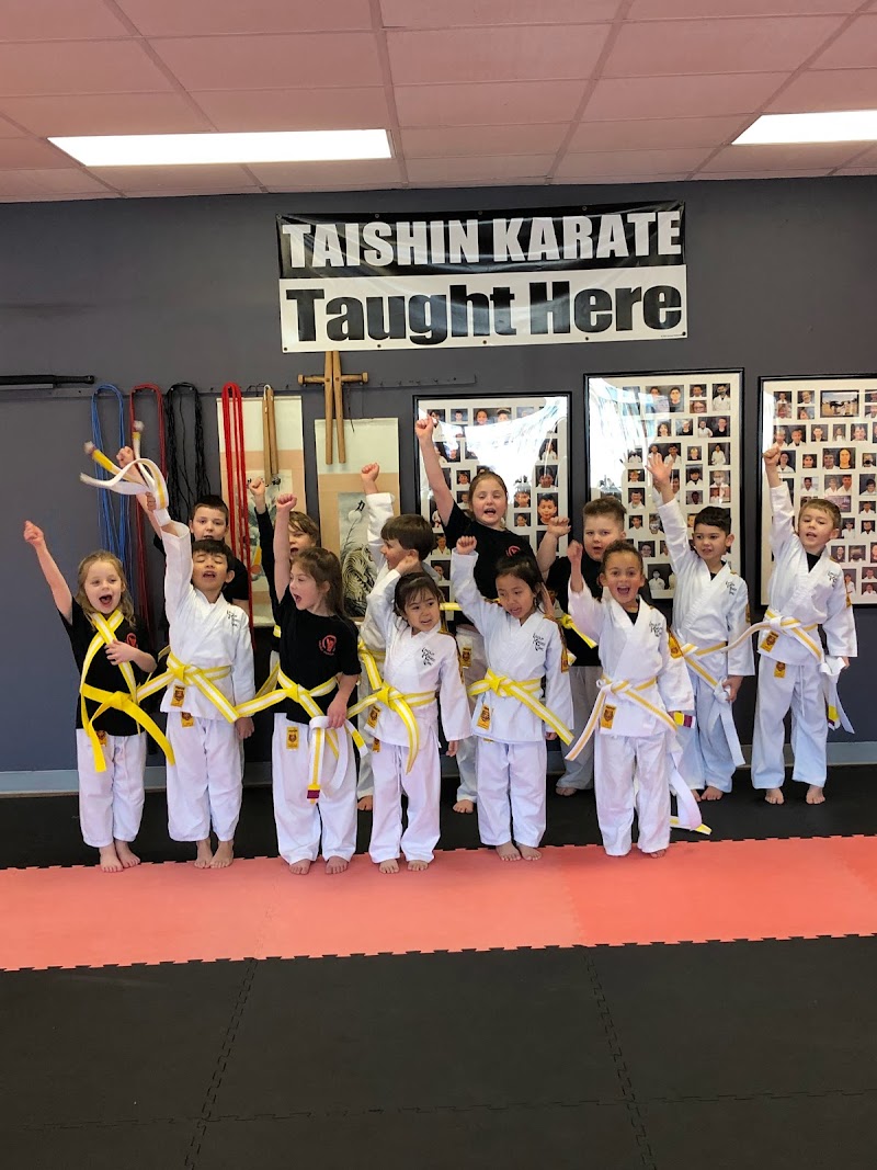 Lincoln Karate Clinic cover image