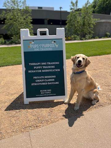 Pups with a Purpose cover image