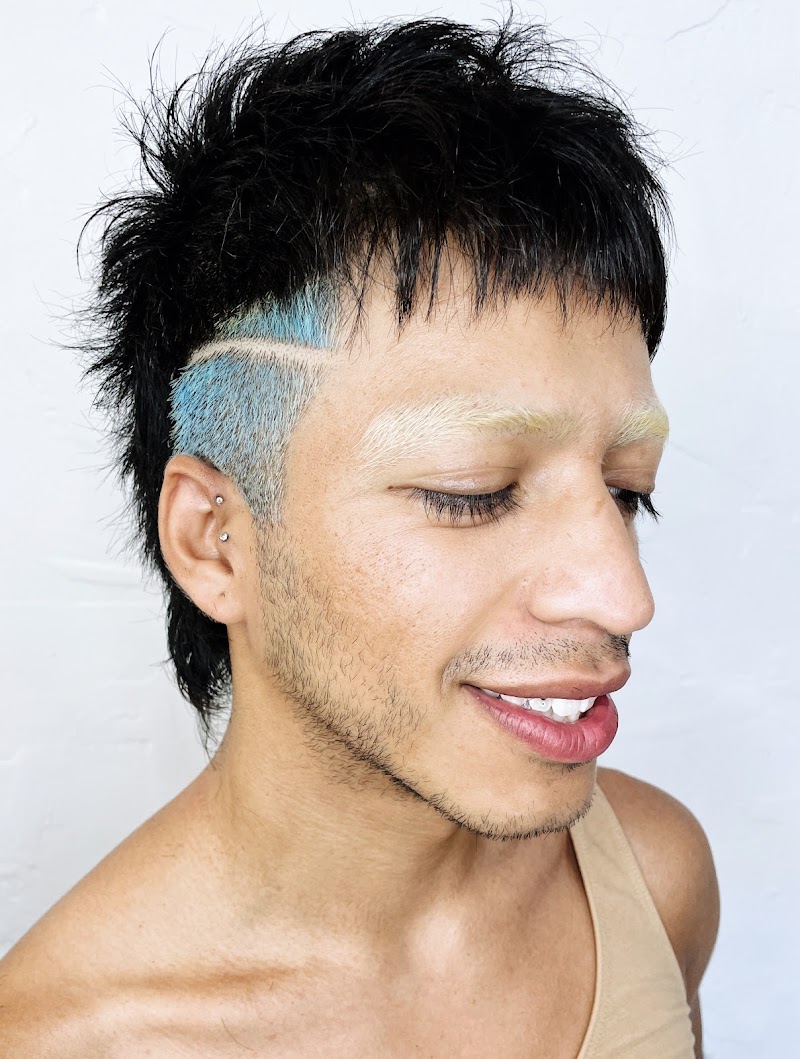 Hairrari LA cover image