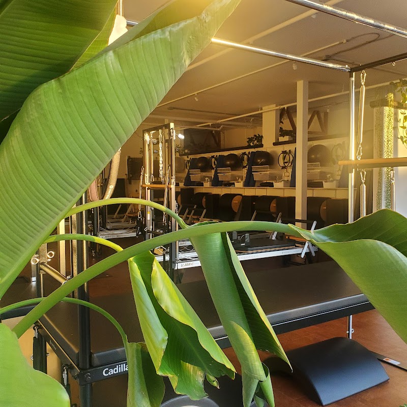 Freeman Pilates cover image