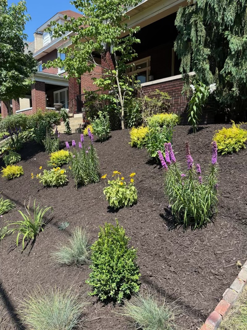 Bosetti Landscape Company cover image