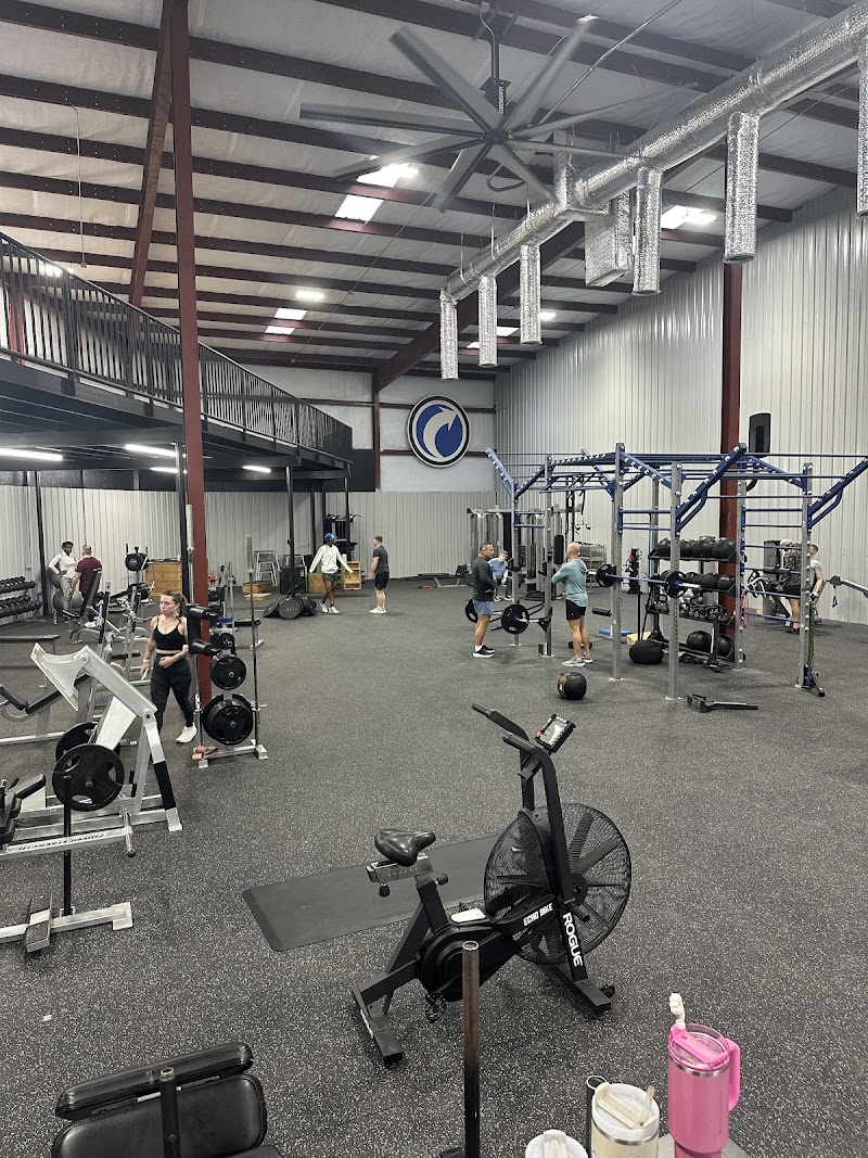 Next Level Fitness cover image