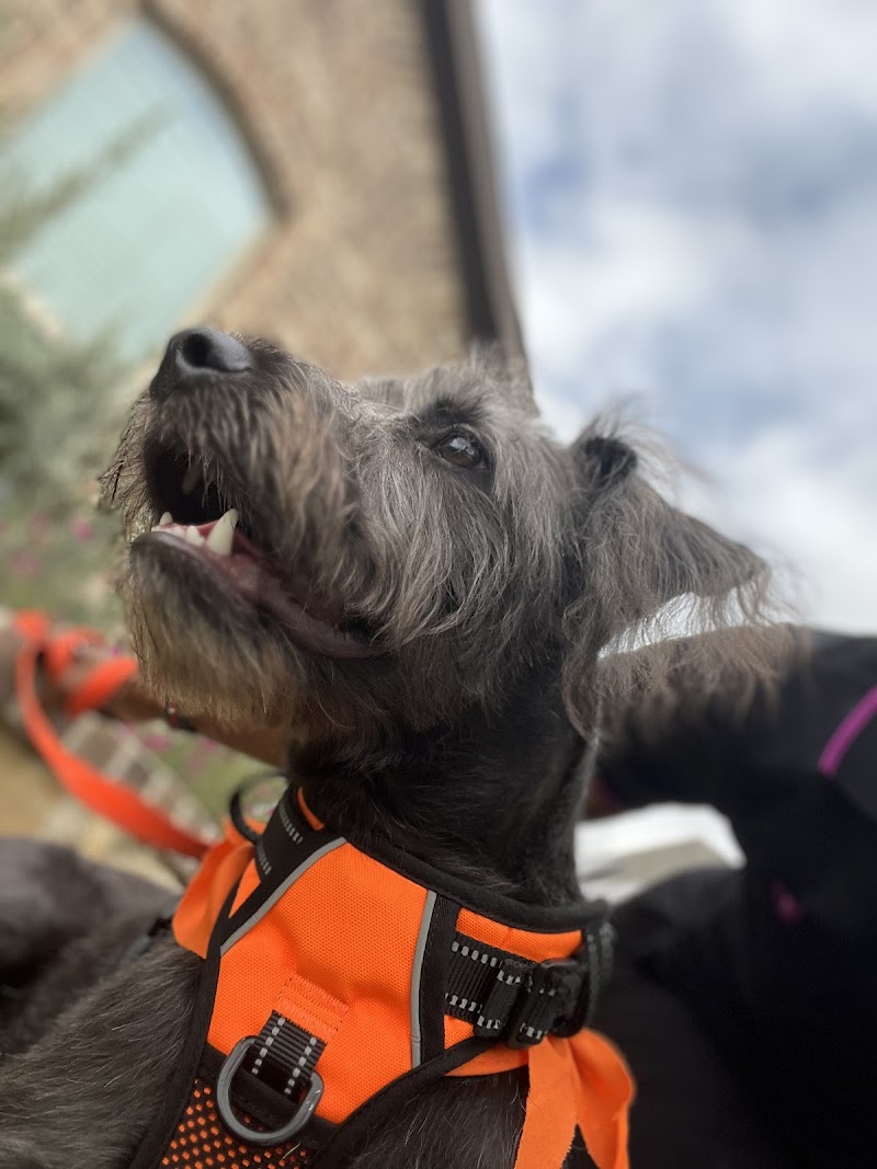 PetSuites Westover Hills cover image